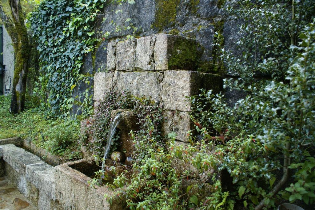 Quinta Do Caneiro Gerês Extérieur photo